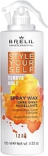 Hair Wax Spray - Brelil Style Yourself Hold Spray Wax — photo N1