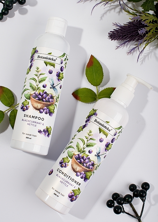 Black Currant & Nettle Shampoo for Weakened Hair - Botanioteka Shampoo For Weak Hair — photo N3