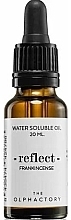 Water Soluble Oil - Ambientair The Olphactory Reflect Frankincense Water Soluble Oil — photo N1