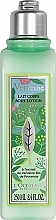 Fragrances, Perfumes, Cosmetics L'Occitane Verbena Limited Edition - Body Lotion