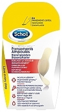 Fragrances, Perfumes, Cosmetics Anti-Callus Patch - Scholl Pansements Ampoules Plasters Small Size 5 Plasters