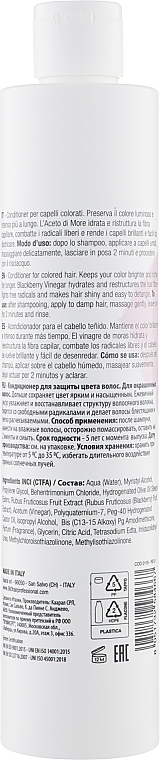 Blackberry Vinegar Conditioner for Colored Hair - 360 Be Color Colored Hair Conditioner — photo N22