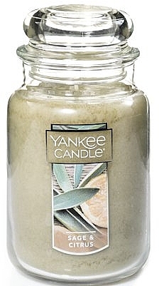 Scented Candle "Sage & Citrus" - Yankee Candle Sage & Citrus — photo N1
