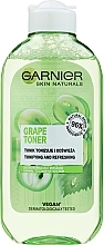 Refreshing Tonic for Normal & Combination Skin - Garnier Skin Naturals Main Care — photo N2