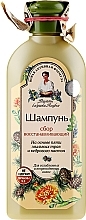 Fragrances, Perfumes, Cosmetics Repairing Herbs Collection Shampoo - Reczepty Babushki Agafi