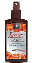 Amber Extract Mist for Dry & Brittle Hair - Farmona Jantar Mist For Dry And Brittle Hair — photo N1