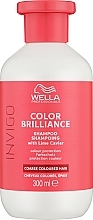Fragrances, Perfumes, Cosmetics Color Protection Shampoo for Colored & Coarse Hair - Wella Professionals Invigo Brilliance Coarse Hair Shampoo