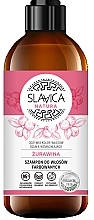 Fragrances, Perfumes, Cosmetics Cranberry Shampoo for Colored Hair - Slavica