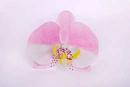 Fragrances, Perfumes, Cosmetics Pink Orchid Automatic Hair Clip Hair - Katya Snezhkova