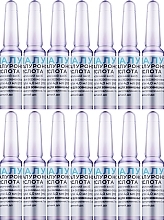 Hyaluronic Acid, Ampoules 4.0 ml N14 - Hyaluvit — photo N4