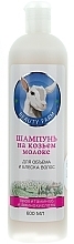 Fragrances, Perfumes, Cosmetics Volume & Shine Hair Shampoo - Beauty Farm