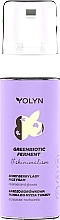 GIFT Blueberry Cleansing Foam - Yolyn #skinimalism Berry Berry Lady Face Foam — photo N3