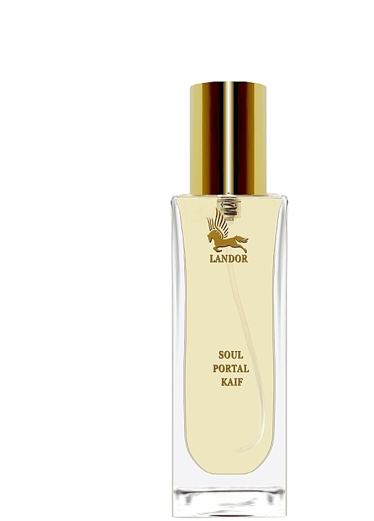 Landor Soul Portal Kaif - Eau de Parfum — photo N4