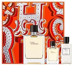 Hermes Terre d’Hermes - Set (edt/100ml + edt/12.5ml + a/sh/lot/40ml) — photo N1