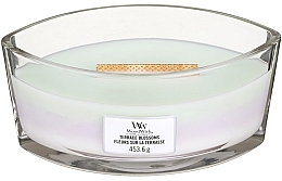 Fragrances, Perfumes, Cosmetics Scented Candle in Glass - Woodwick Hearthwick Flame Ellipse Trilogy Candle Terrace Blossom