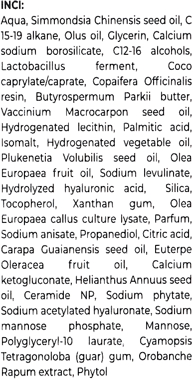 Renewing Face Cream - Labrains Resistage Renovation Sculptor Cream (refill) — photo N3