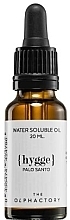 Water Soluble Oil - Ambientair The Olphactory Hygge Palo Santo Water Soluble Oil — photo N1