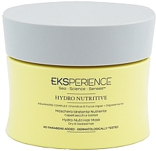 Moisturizing and Nourishing Mask - Revlon Professional Experience Hydro Nutritive Mask — photo N1