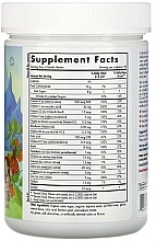 Nordic Berries. Multivitamin Dietary Supplement, gummies - Nordic Naturals Nordic Berries — photo N16