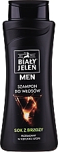 Hypoallergenic Shampoo with Birch Juice - Bialy Jelen Hypoallergenic Shampoo For Men — photo N1