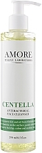 Antibacterial & Antifungal Centella Cleansing Gel for Problem Skin - Amore Centella Antibacterial Face Cleanser — photo N2