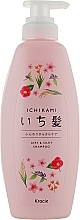 Fragrances, Perfumes, Cosmetics Volume Shampoo for Damaged Hair with Pomegranate Scent - Kracie Ichikami Shampoo