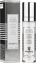 Anti-Aging Face Cream - Sisley All Day All Year Essential Anti-aging Day Care — photo N2