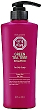 Fragrances, Perfumes, Cosmetics Green Tea Tree Shampoo for Oily Scalp - Daeng Gi Meo Ri Green Tea Tree Shampoo for Oily Scalp