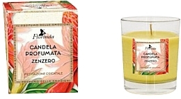 Vegetable Wax Candle with Spicy Ginger Scent - Florinda — photo N1