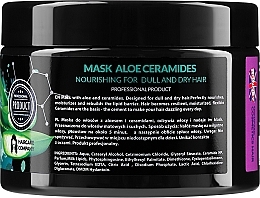 Dry & Dull Hair Mask - Ronney Professional Aloe Ceramides Mask Nourishing — photo N2