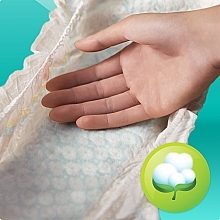 Pampers - Pampers — photo N3