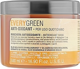 Antioxidant Mask - EveryGreen Antioxidant Hair Mask — photo N2