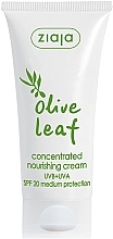 Concentrated Olive Leaf Face Cream - Ziaja Olive Leaf Concentrated Nourishing Cream SPF20 — photo N3