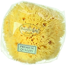 Fragrances, Perfumes, Cosmetics Natural Sea Sponge, 17.8 cm - Hydrea London Honeycomb Sea Sponge Premium Quality