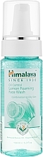 Fragrances, Perfumes, Cosmetics Refreshing Face Cleansing Foam 'Shine Control' - Himalaya Herbals Oil Control Foaming Face Wash