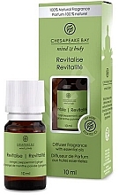 Fragrance Diffuser - Chesapeake Bay Aroma Oil Revita — photo N2