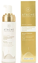 AHA Cleansing Foam - Atache Excellence Integral Cleansing & Regenerative Mousse — photo N3