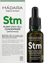 Fragrances, Perfumes, Cosmetics Plant Stem Cell Concentrate - Madara Cosmetics Plant Stem Cell Concentrate