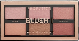 Blush Palette - Profusion Cosmetics Blush Palette I — photo N1