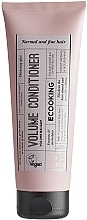Fragrances, Perfumes, Cosmetics Volume Conditioner - Ecooking Volume Conditioner
