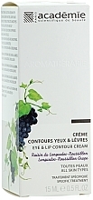 Eye & Lip Cream-Care "Grapes of the Languedoc-Roussillon Province" - Academie Creme coutours yeux & levres — photo N3