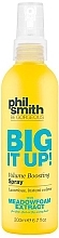 Fragrances, Perfumes, Cosmetics Volume Boosting Spray - Phil Smith Be Gorgeous Big It Up Volume Boosting Spray