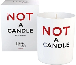 Juliette Has A Gun Not a Perfume - Scented Candle — photo N1