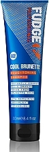 Fragrances, Perfumes, Cosmetics Toning Shampoo - Fudge Cool Brunette Blue-toning Shampoo Reviews