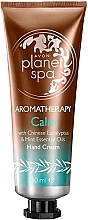 Fragrances, Perfumes, Cosmetics Eucalyptus and Mint Hand Cream - Avon Planet Spa Aromatherapy Calm Hand Cream