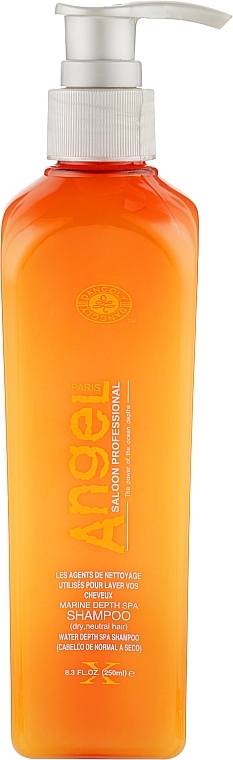 Dry & Normal Hair Shampoo - Angel Professional Paris Shampoo for dry and Normal Hair — photo N1