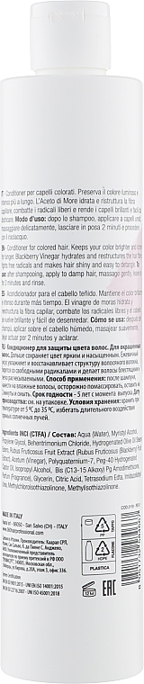 Blackberry Vinegar Conditioner for Colored Hair - 360 Be Color Colored Hair Conditioner — photo N27