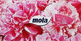 Fragrances, Perfumes, Cosmetics Double-Layer Tissues 120 pcs, peonies - Mola Tissue Big Box	