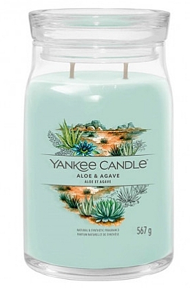 Scented Candle - Yankee Candle Signature Aloe & Agave — photo N2