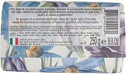 Soap "Lake Como" - Nesti Dante Dolce Vivere Lago di Como Soap — photo N2